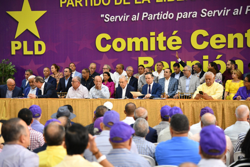 Disgustos y expectativas: La ruta de la consulta en el PLD